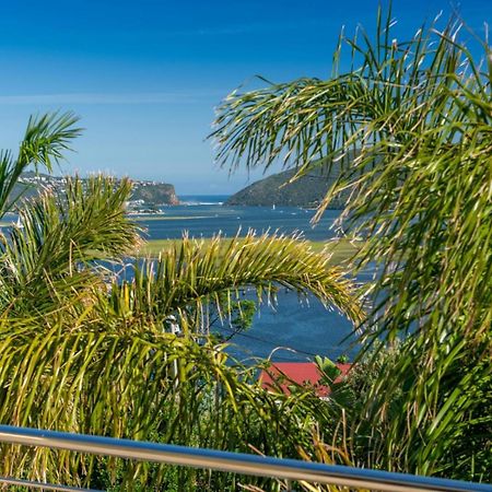 Guest House The Lazy Lion Knysna Exterior foto
