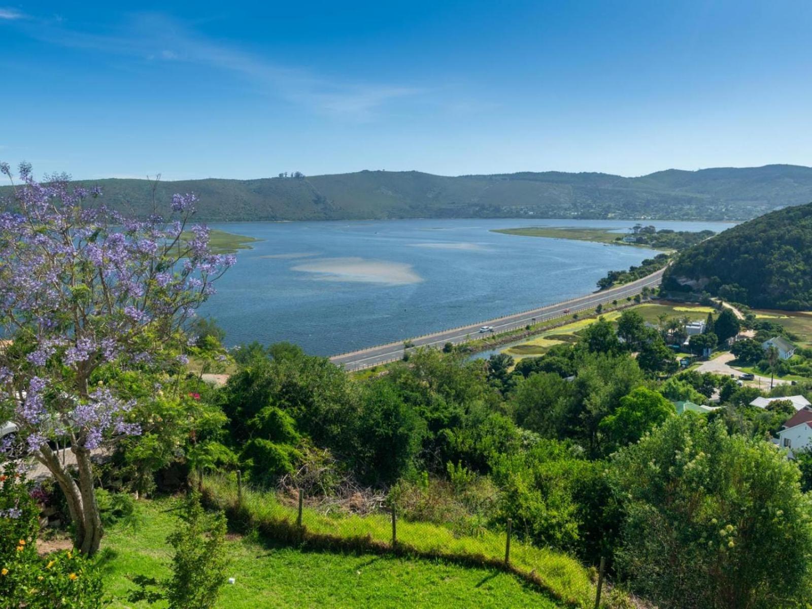 Guest House The Lazy Lion Knysna Exterior foto