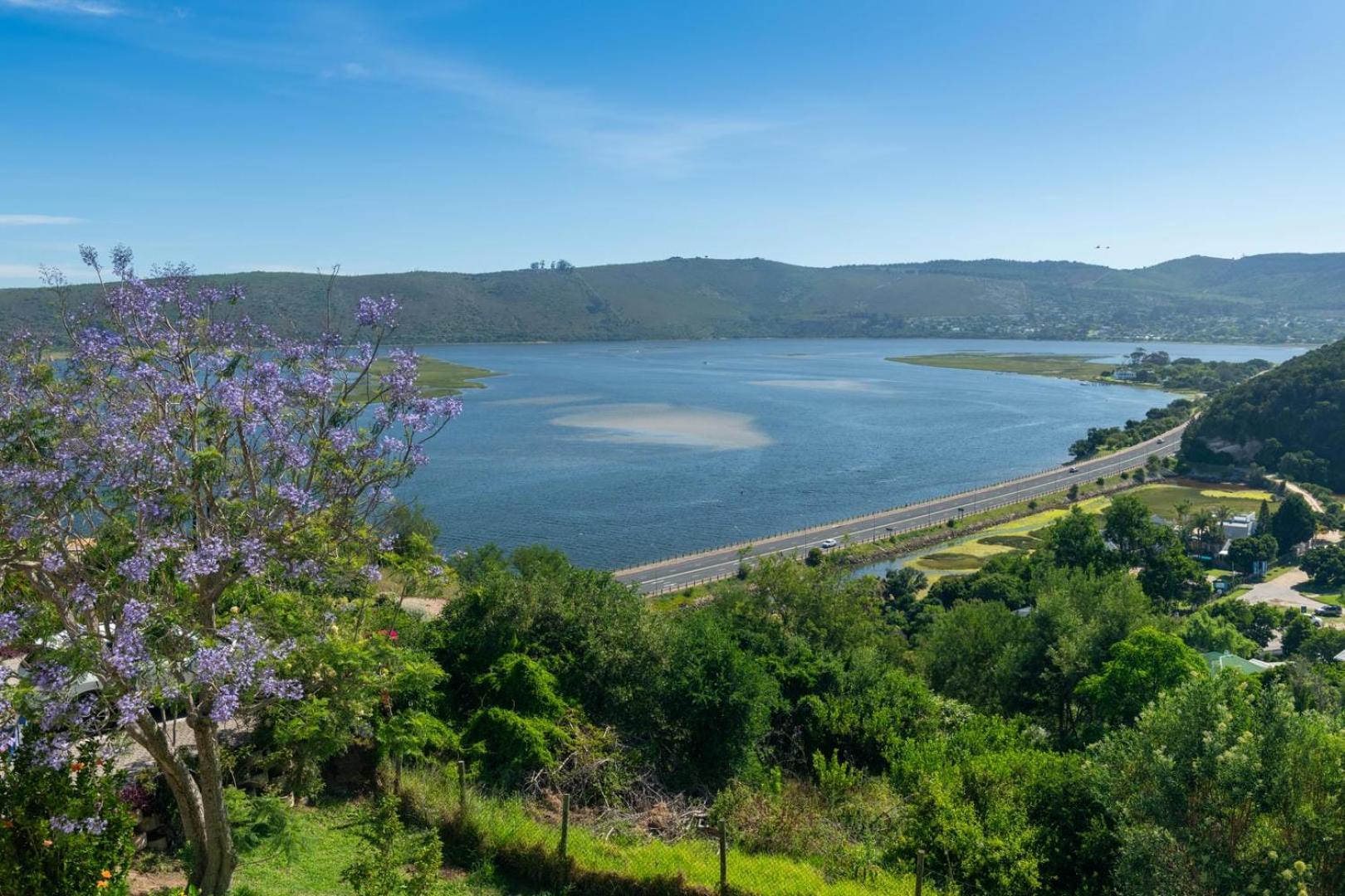 Guest House The Lazy Lion Knysna Exterior foto